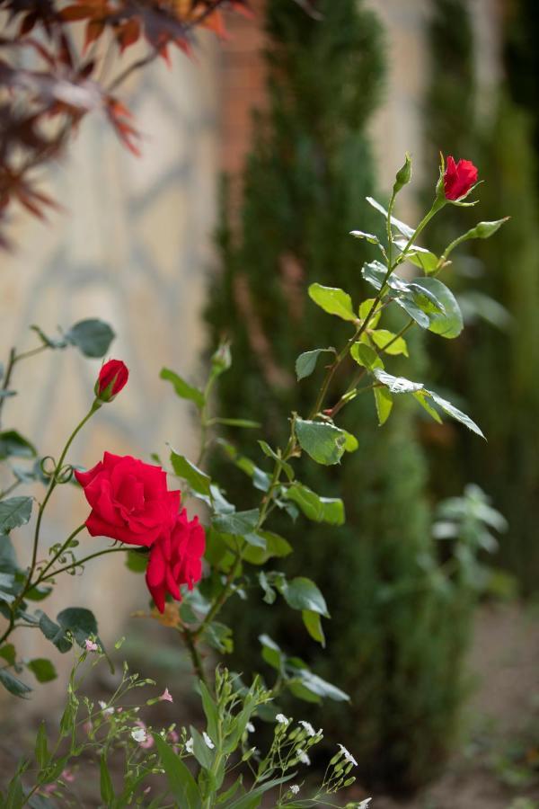 Royal House Otel Gori Dış mekan fotoğraf